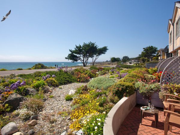 A seaside garden with colorful flowers, a rocky path, a tree by the shore, and a brick patio with chairs overlooking the ocean.