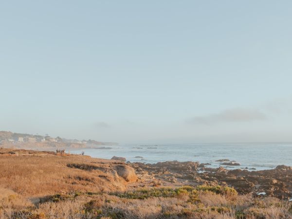 Coastal landscape with dry scrub in the foreground, rocky shoreline, and calm sea under a clear blue sky, warm light hitting the scene.