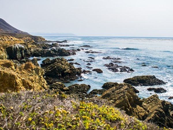 A rocky coastline with waves breaking on jagged rocks, sparse vegetation in the foreground, and a distant horizon under a clear sky.