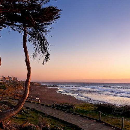 Sunset over a coastal path with palm trees, calm water, and a warm gradient sky, peaceful seaside scene.