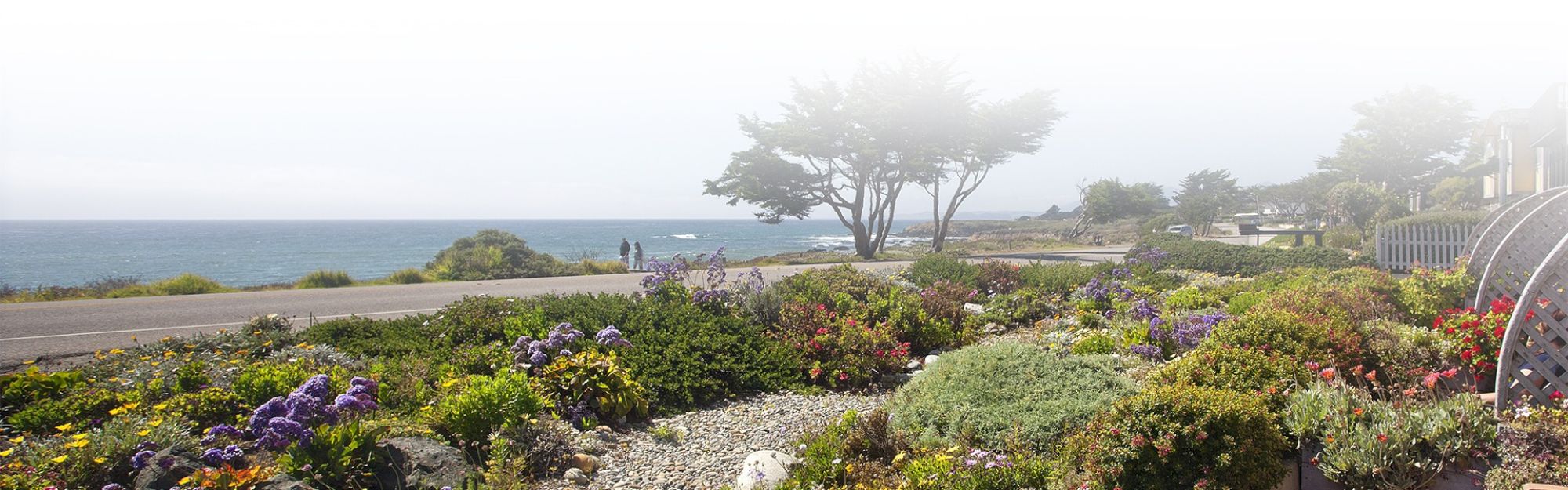 Coastal garden with colorful flowers, a winding path along the shore, and a few trees near the horizon by the ocean, under a bright sky.